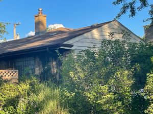 house for sale for cash with overgrown vines