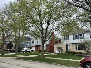 Row of two-story Chicago houses on a suburban street