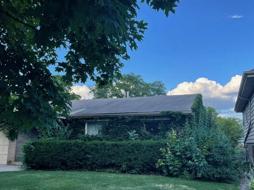 overgrown foreclosure house